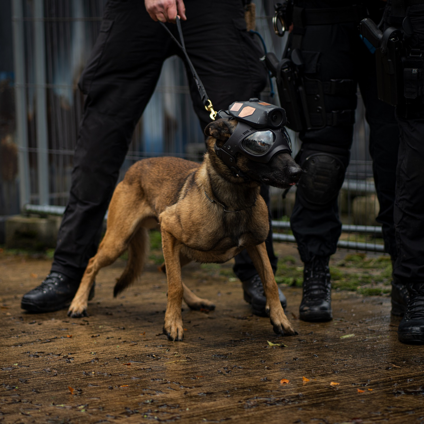 Heliguy Tactical Dog Camera Features On BBC One Frontline Fightback