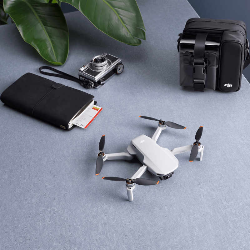 DJI Mini 2 Drone v Mavic Mini