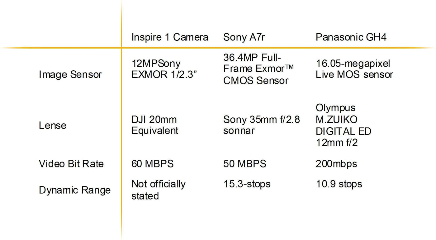 DJI Inspire 1 vs S900 Debate