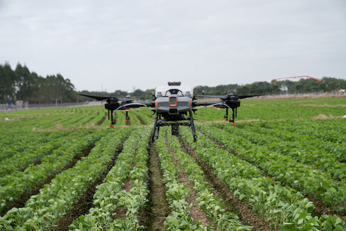 Does T10 support fully autonomous operation in Fruit Tree mode?
